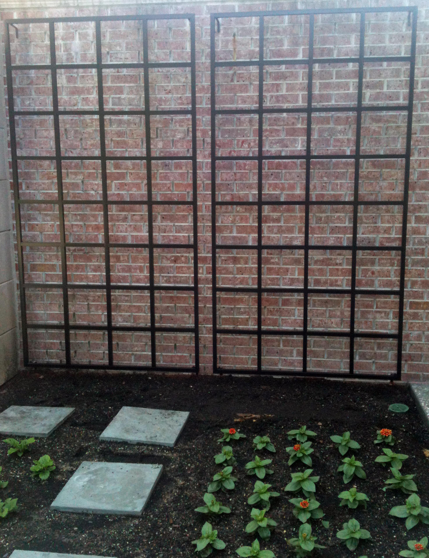 4 x 8 wall trellis