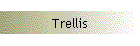 Trellis