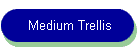 Medium Trellis