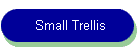 Small Trellis