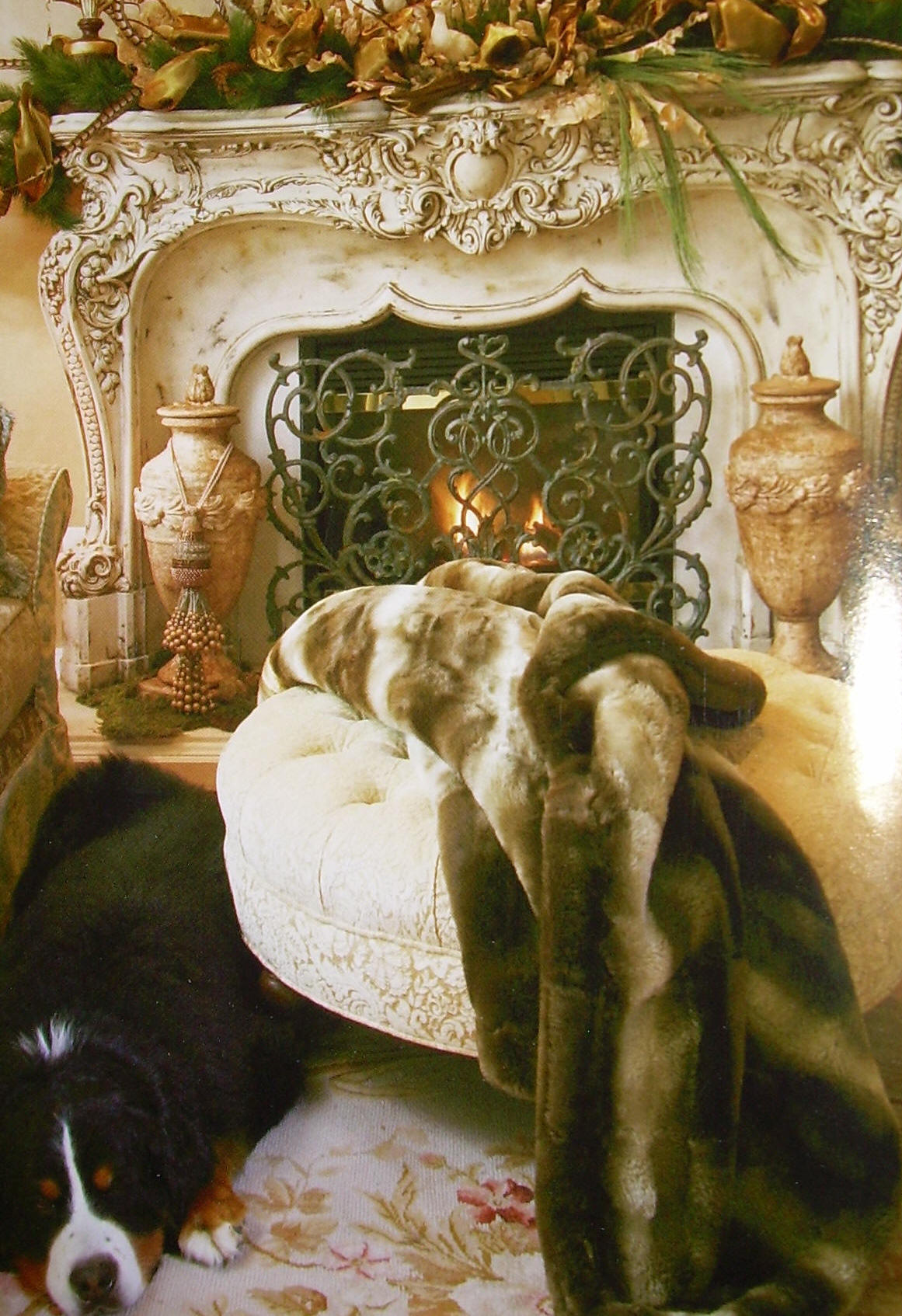Fire Screen