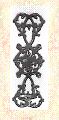 Grape Leaf1jpg.jpg (17913 bytes)