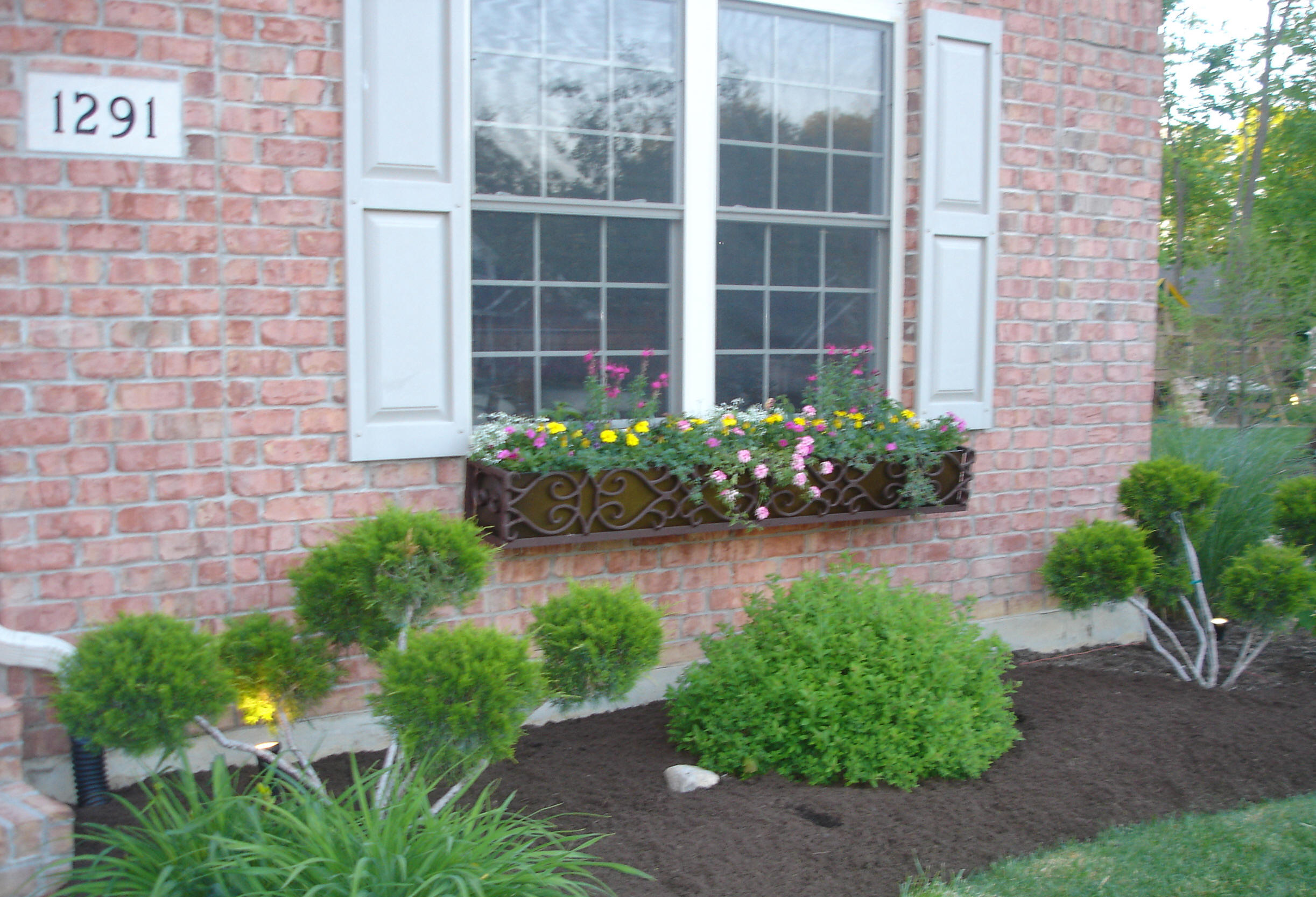 Window Boxes 