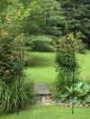 Lg Arbor best.JPG (125184 bytes)