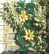 SunflowerP.jpg (121688 bytes)