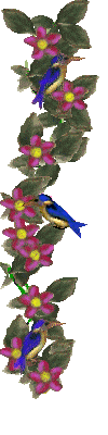 animbirds.gif (29449 bytes)
