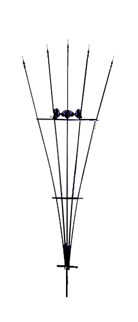 Fan Trellis