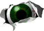 green-eye-small.gif (17567 bytes)