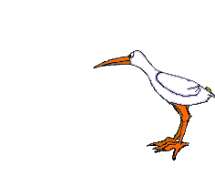 wormdive1.gif (11942 bytes)