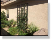 Garden Metal Work | Trellis Gallery