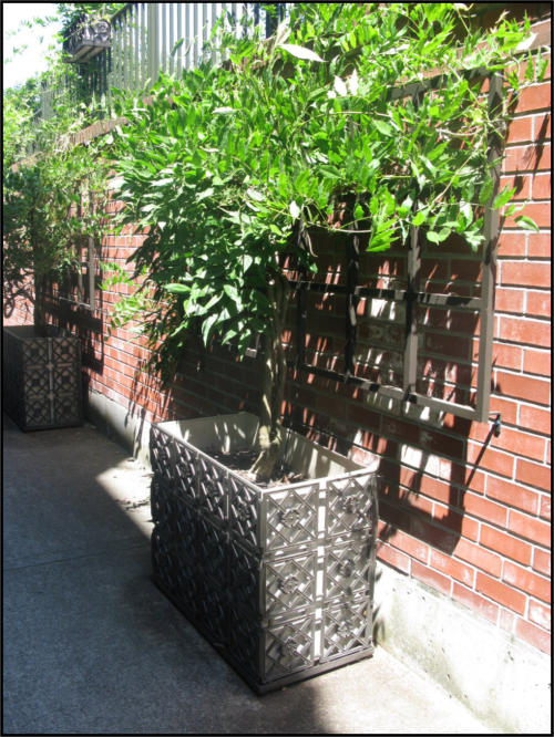 Garden Metal Work | Window Boxes Gallery